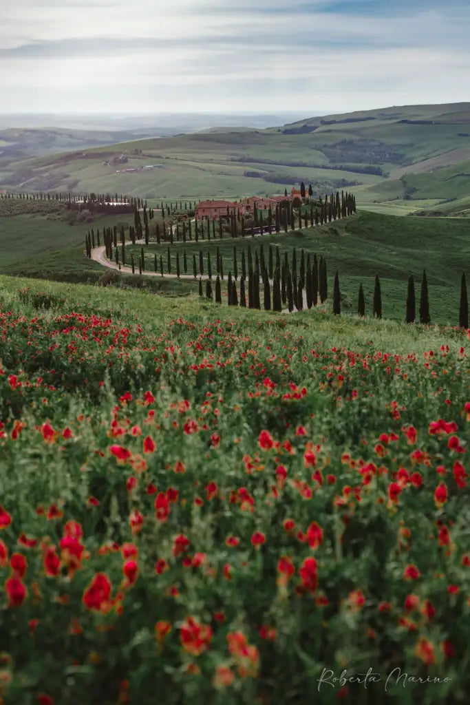 Tuscany — stampa su tela