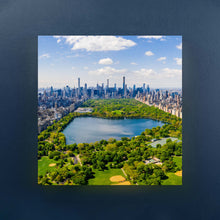 Carica l'immagine nel visualizzatore di Gallery, Central Park - Quadri Di New York Su Tela 20X20
