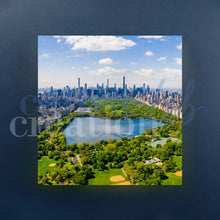 Carica l&#39;immagine nel visualizzatore di Gallery, Central Park - Quadri Di New York Su Tela 20X20
