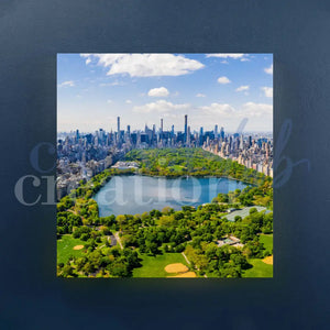 Central Park - Quadri Di New York Su Tela 20X20