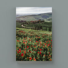 Carica l'immagine nel visualizzatore di Gallery, Tuscany - Scatti d'Autore di Roberta Marino
