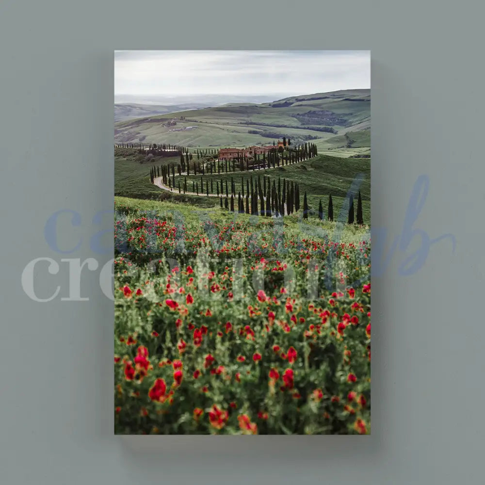 Tuscany - Scatti d'Autore di Roberta Marino